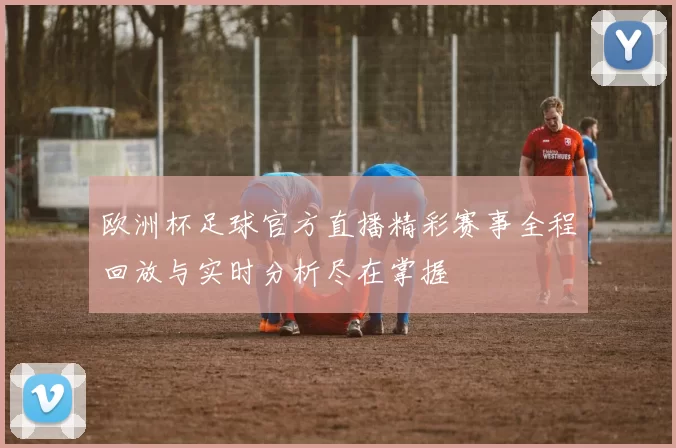 欧洲杯足球官方直播精彩赛事全程回放与实时分析尽在掌握