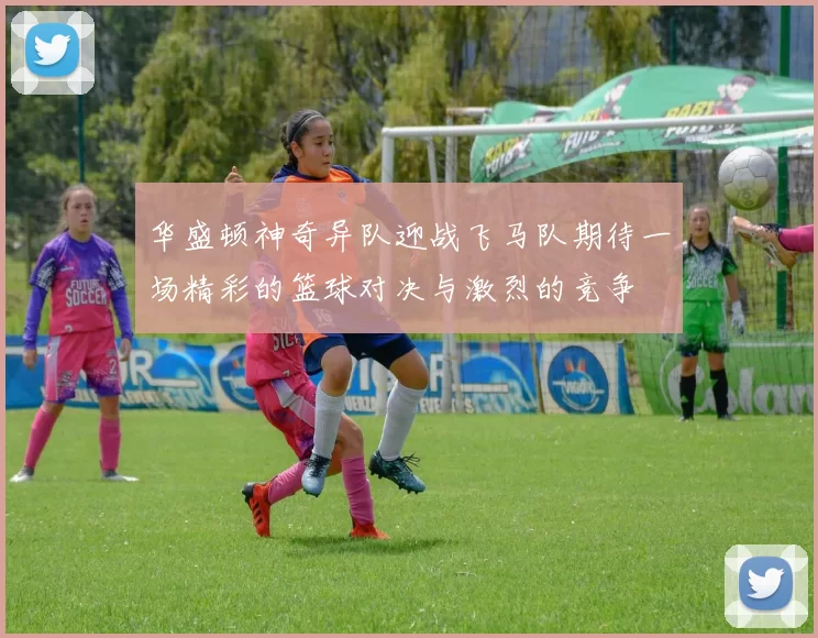 华盛顿神奇异队迎战飞马队期待一场精彩的篮球对决与激烈的竞争